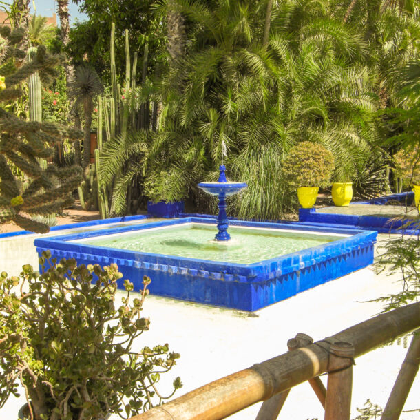 le jardin Majorelle Yves saint Laurent à Marrakech