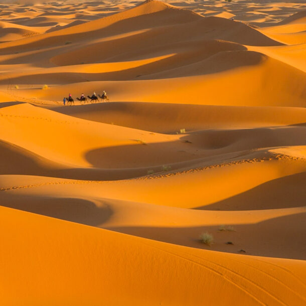 le désert de Merzouga au Maroc