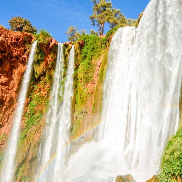 Excursion to the Ouzoud waterfalls from Marrakech